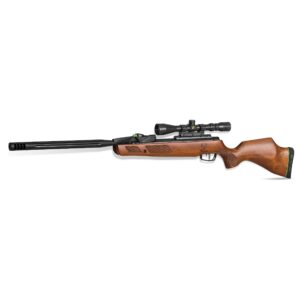 gamo swarm bone collector 10x gen3i .22 cal. 10 pellet multi-shot inertia fed pellet air rifle. 1100 fps.