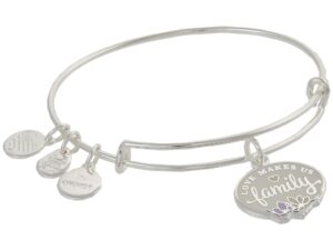 alex and ani occasions expandable bangle for women, love makes us family charm, shiny silver finish, 2 to 3.5 in, one size (a21ebfamss)