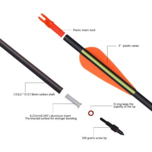 Carbon Arrow Hunting Arrows with 100 Grain Tip and Removable Tips for Archery Compound & Recurve & Traditional Bow Practice Shooting Targeting