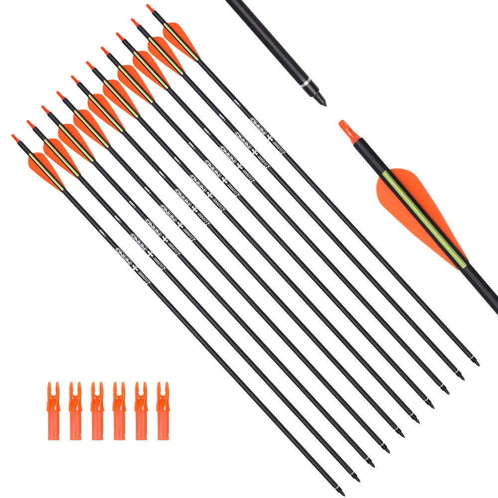 Carbon Arrow Hunting Arrows with 100 Grain Tip and Removable Tips for Archery Compound & Recurve & Traditional Bow Practice Shooting Targeting