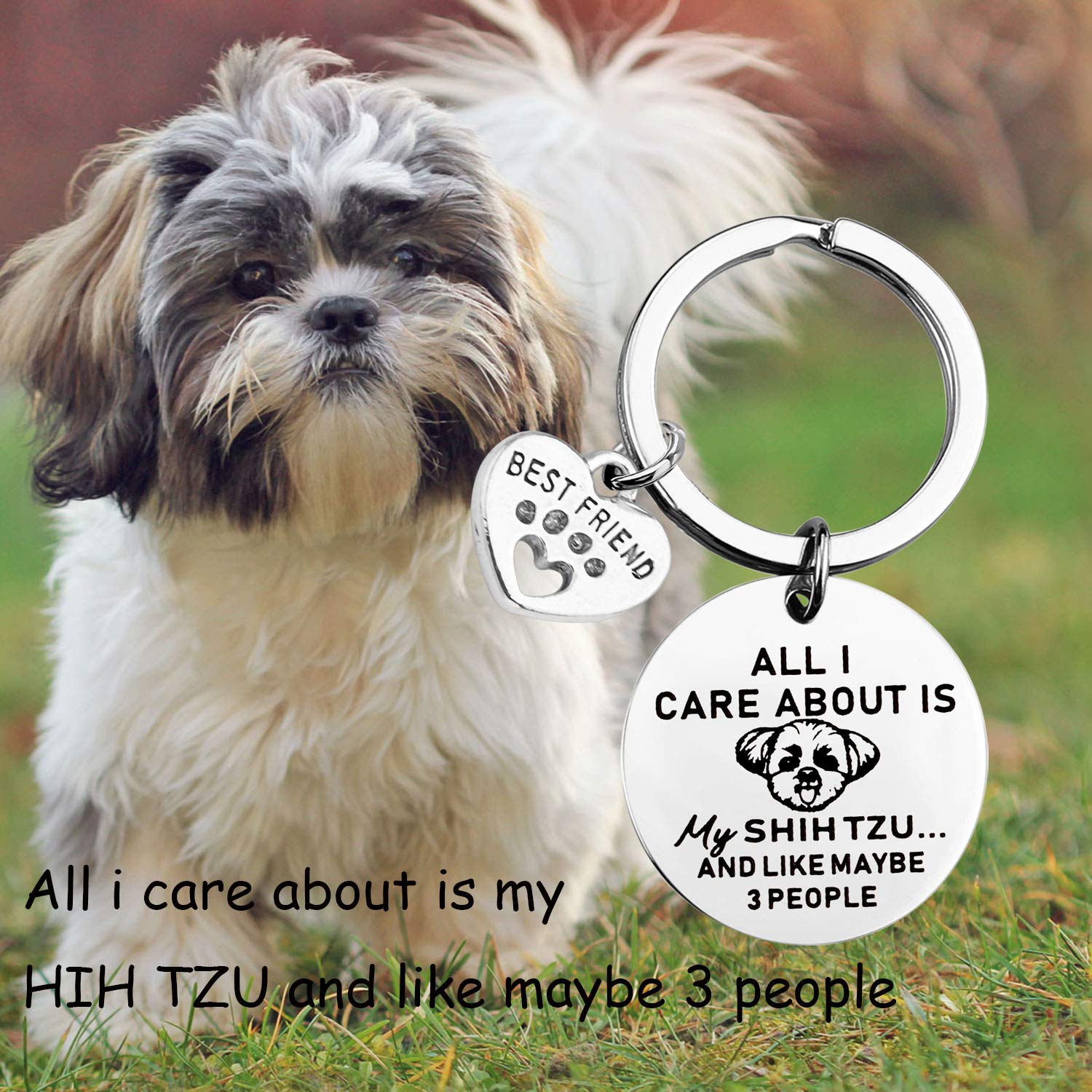 Lywjyb Birdgot Dog Owner Gift Shih Tzu Dog Keychain Dog Mom Gift Shih Tzu Lovers Jewelry Pet Dog Gift Funny Sarcastic Dog Gift (Shih Tzu ky)