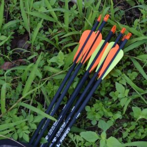 Carbon Arrow Hunting Arrows with 100 Grain Tip and Removable Tips for Archery Compound & Recurve & Traditional Bow Practice Shooting Targeting