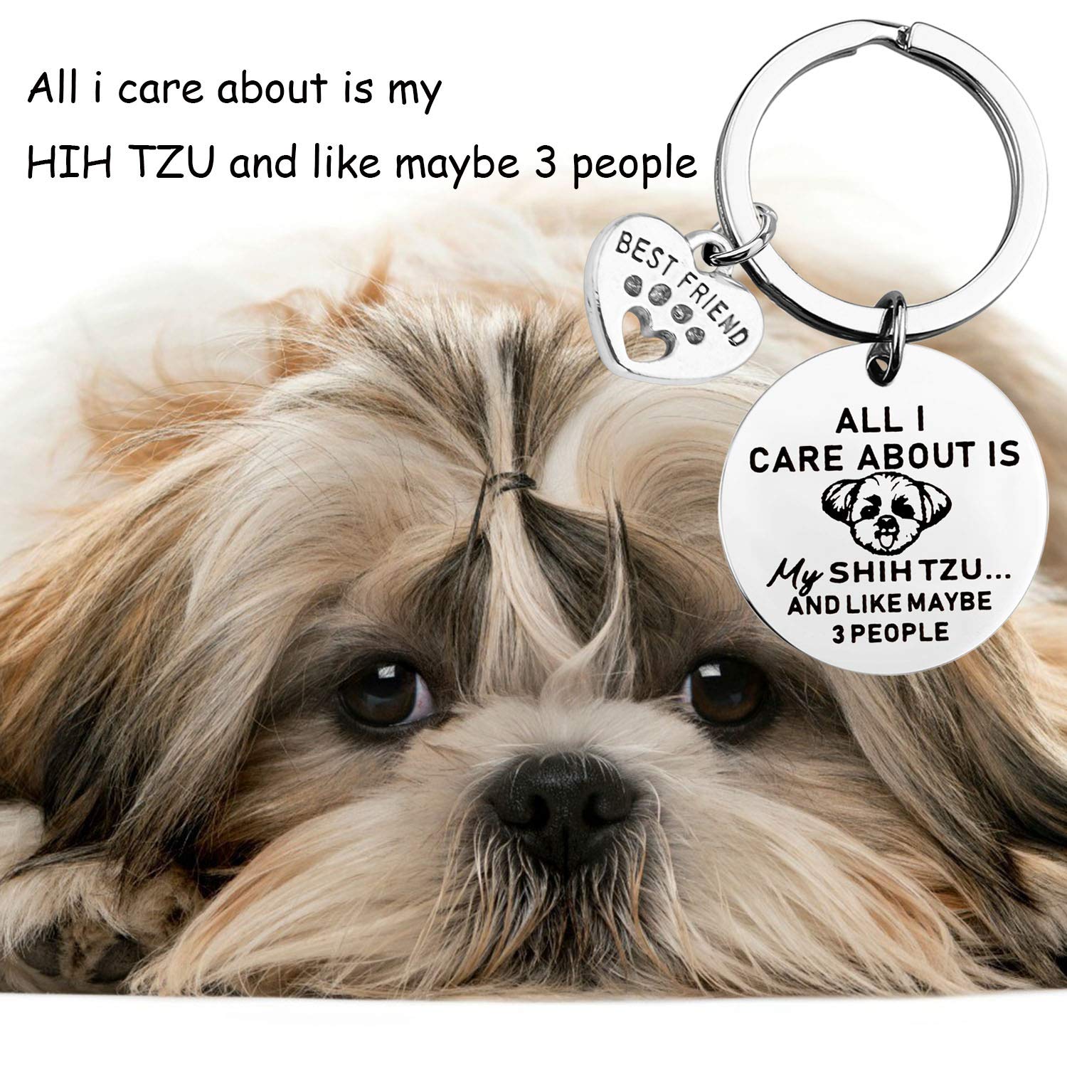 Lywjyb Birdgot Dog Owner Gift Shih Tzu Dog Keychain Dog Mom Gift Shih Tzu Lovers Jewelry Pet Dog Gift Funny Sarcastic Dog Gift (Shih Tzu ky)