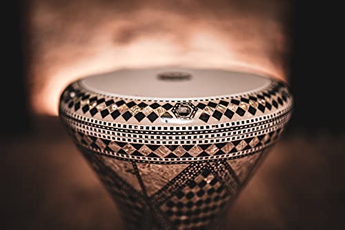 Meinl Percussion Artisan Edition Doumbek with Cast Aluminum Shell and Mother of Pearl Inlay — Made in Egypt — 8 3/4" Tunable All-Weather Synthetic Head, 2-Year Warranty, Mosaic Royale (AEED1)