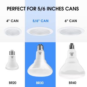 Energetic 12 Pack 75W BR30 LED Recessed Light Bulb, Dimmable, 900 Lumens, Daylight 5000K, E26 Base, Indoor Flood Light for 5/6 Inch Cans, UL Listed