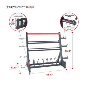 Sunny Health & Fitness All-In-One Weights Storage Rack Stand - SF-XF920025