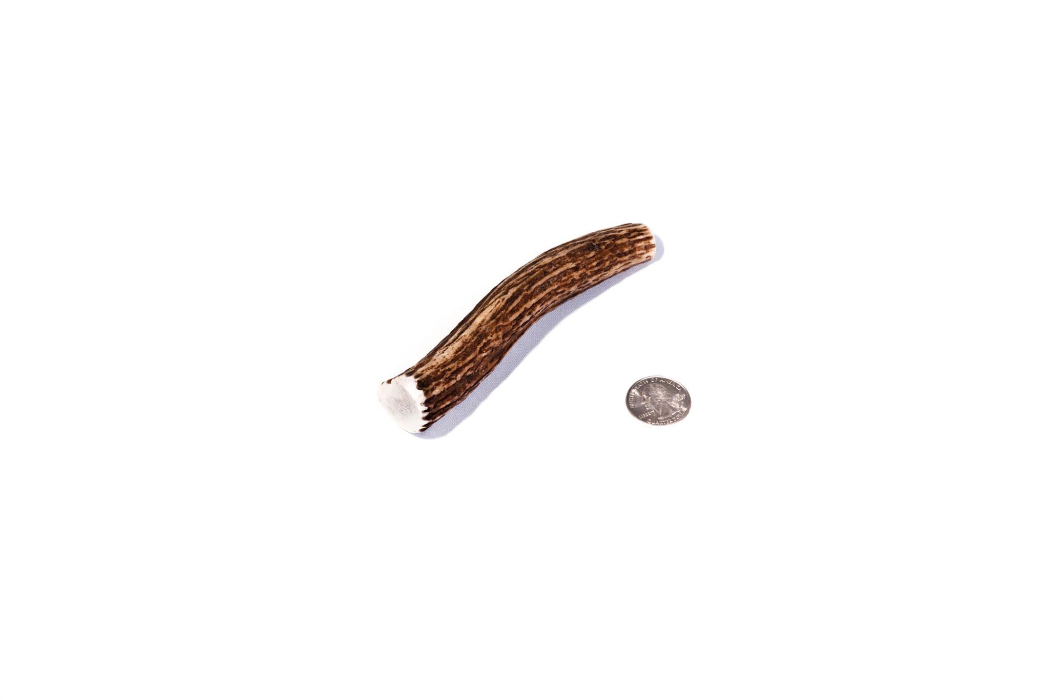 Powder Hound Pet Co. Elk Antler Dog Chew, Great for Aggressive Chewers, All-Natural, Premium A/#1 Grade Elk Antlers, Naturally Shed in USA, Cruelty Free Dog Bones, Will Not Splinter (Small)