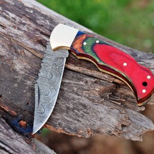 Handmade Damascus Steel Pocket Knife & Knife Sharpener - Damascus Folding Knife - Pocket Knife for Men, EDC Knife & Hunting Knife with Back Lock & Beautiful Pakka Wood Handle with Leather Knife Sheath