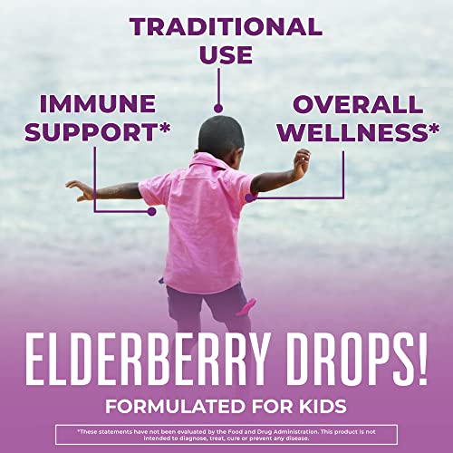 MaryRuth Organics Cocomelon Kids Elderberry Syrup, USDA Organic Elderberry, Sugar Free Kids Immune Support Supplement for Ages 4-13 Years, Clean Label Project Verified®, Vegan, Gluten Free, 1 Fl Oz