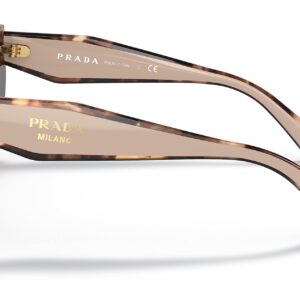 Prada PR 14WS Caramel Tortoise/Powder/Brown Gradient One Size