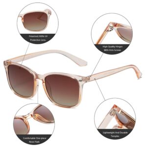 DUSHINE Polarized Sunglasses for Women Classic Retro Style 100% UV Protection