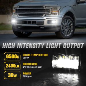 Upgrade LED Fog Lights DOT Bumper Fog Lamps Replacement for Ford F150 2015 2016 2017 2018 2019 2020 F150 (Black - without Halo)