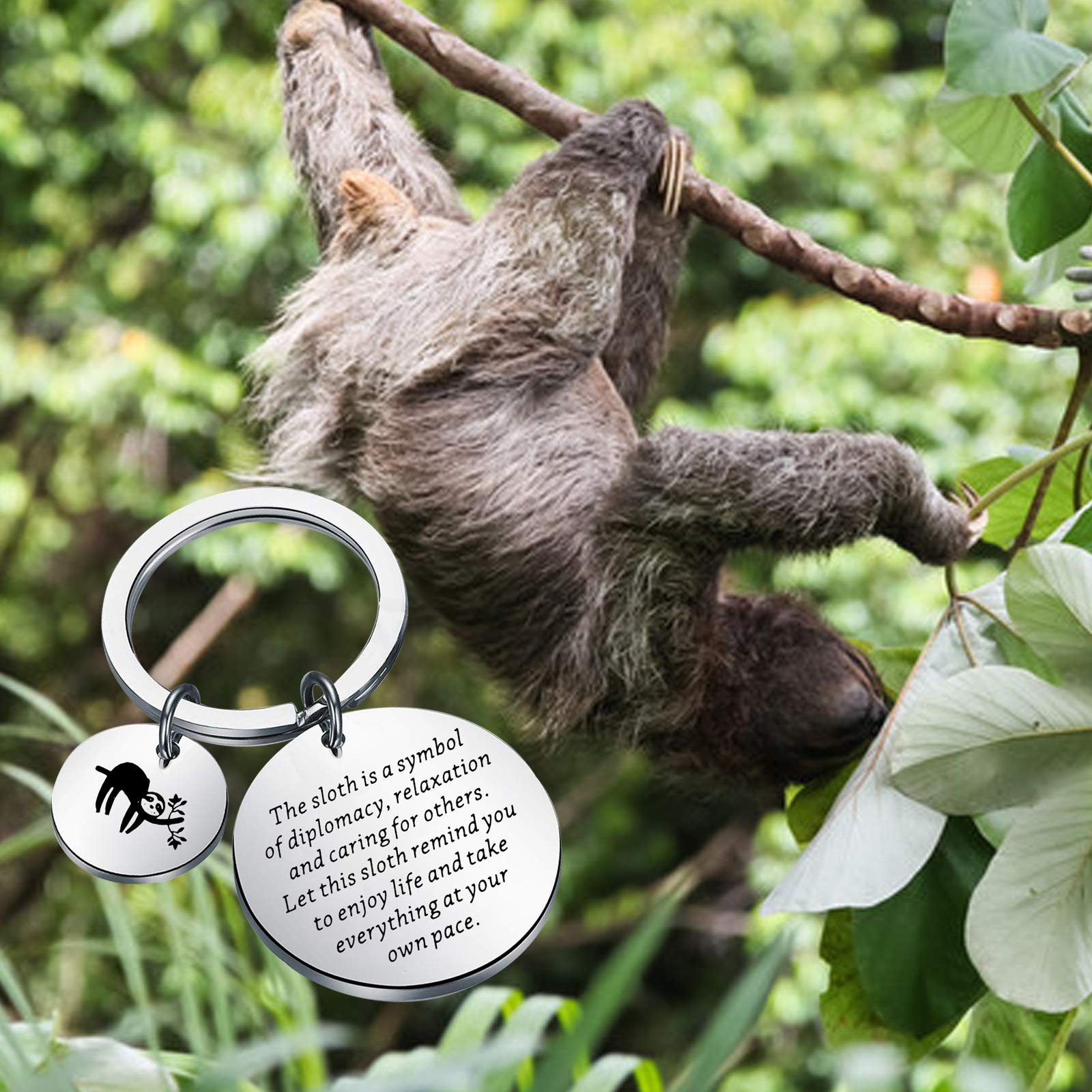 ENSIANTH Sloth Keychain Sloth Lover Gift Inspirational Sloth Gifts for Friends Animal Lover Gift (Sloth Keychain)