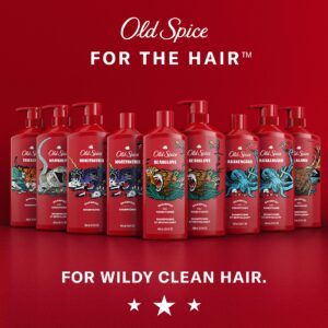 Old Spice Krakengard 2-in-1 Shampoo and Conditioner for Men, 21.9 fl oz