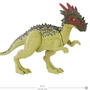 Jurassic World Toys Wild Pack Dracorex Herbivore Dinosaur Action Figure Toy with Movable Joints, Realistic Sculpting & Attack Feature, Kids Gift Ages 3 Years & Older