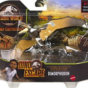 Jurassic World Toys Wild Pack Dracorex Herbivore Dinosaur Action Figure Toy with Movable Joints, Realistic Sculpting & Attack Feature, Kids Gift Ages 3 Years & Older