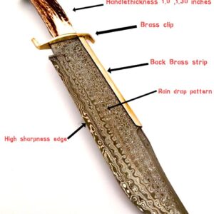 NoonKnives: 15.5" Hand Made Damascus Steel Collectible TEXAS Bowie Knife Handle Brass clip with stag horn