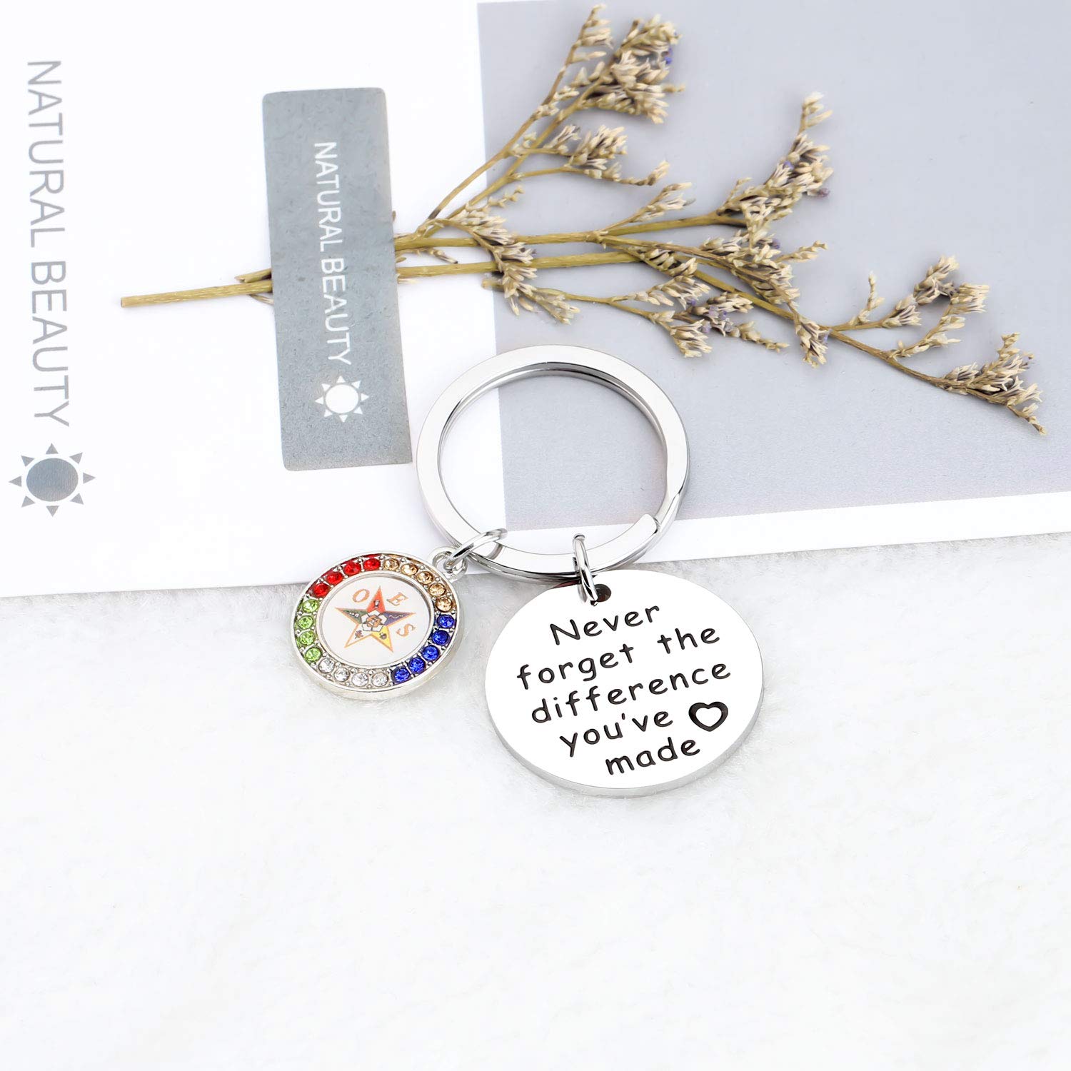 MYOSPARK OES Jewelry Oes Sorority Jewelry Sisterhood Gift Never Forget The Difference You've Made Keychain (OES Difference KC)