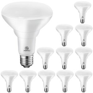 e energetic lighting 12 pack led recessed light bulbs br30, 1500lm, dimmable, soft white 2700k, 105w equivalent, indoor flood lights for recessed cans, ul listed