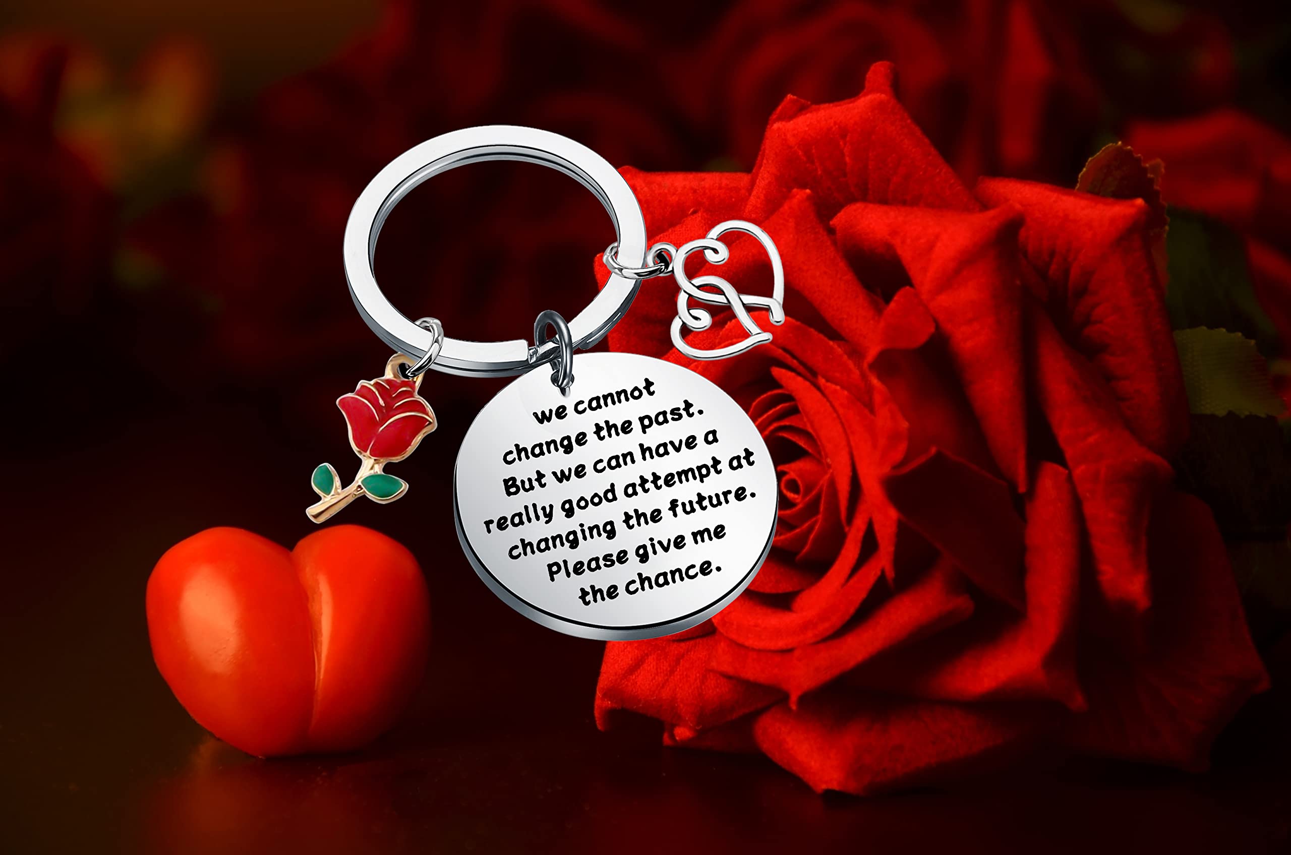 SEIRAA Apology Gift Forgive Me Gifts to Say You're Sorry for Him Her We Cannot Change the Past Keychain (Apology keychain)