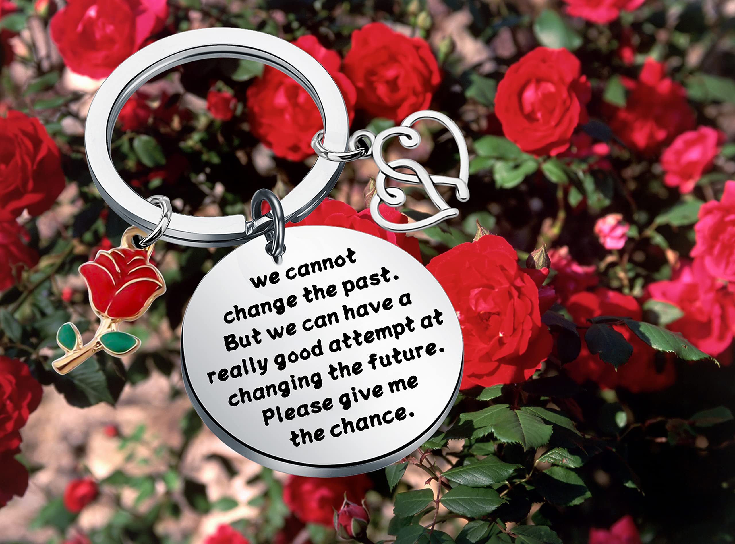 SEIRAA Apology Gift Forgive Me Gifts to Say You're Sorry for Him Her We Cannot Change the Past Keychain (Apology keychain)