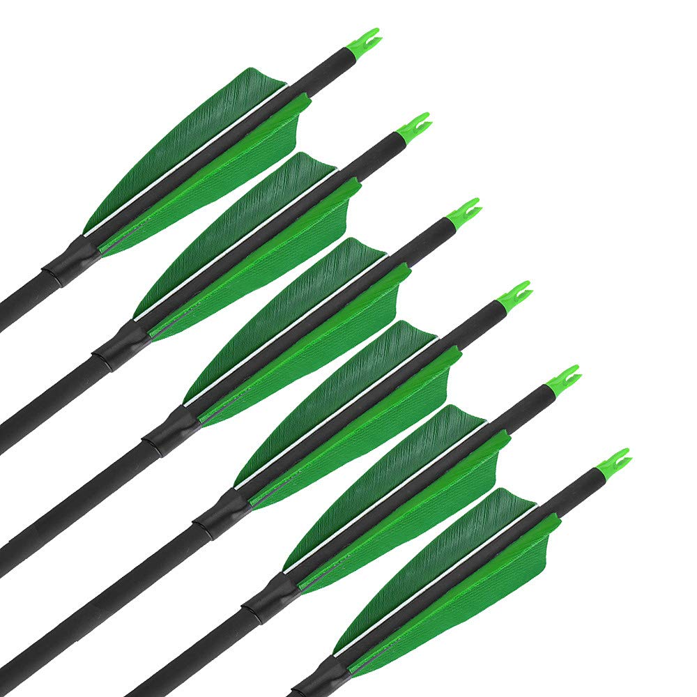 ZSHJGJR 6/12pcs 31" Archery Carbon Arrows Spine 500 Hunting Target Arrows with 4 inch Turkey Feather for Compound Recurve Bow Shooting Practice (Green, 12pcs)