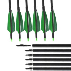 ZSHJGJR 6/12pcs 31" Archery Carbon Arrows Spine 500 Hunting Target Arrows with 4 inch Turkey Feather for Compound Recurve Bow Shooting Practice (Green, 12pcs)