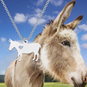 POTIY Donkey Gifts Donkey Pendants Necklace for Donkey Lovers Animal Lovers (necklace)