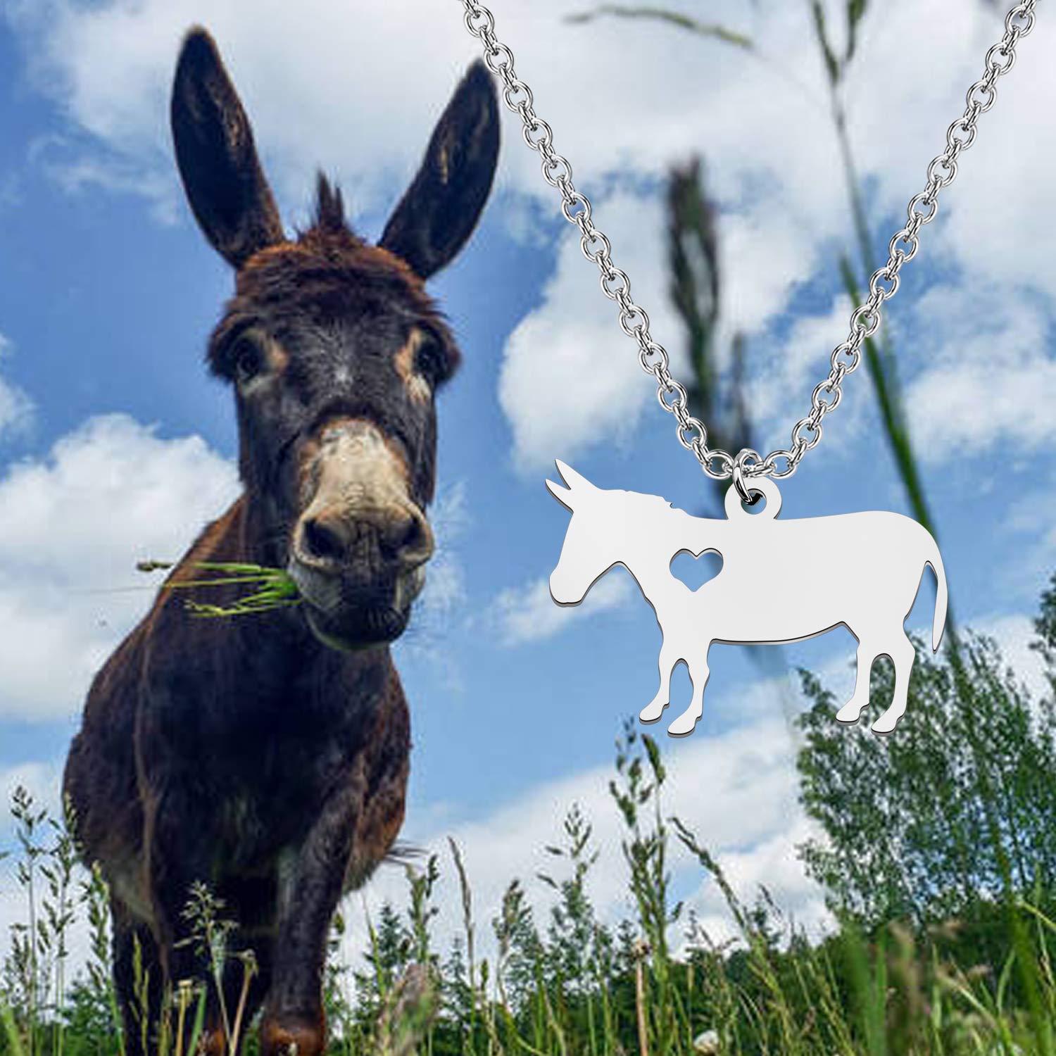 POTIY Donkey Gifts Donkey Pendants Necklace for Donkey Lovers Animal Lovers (necklace)