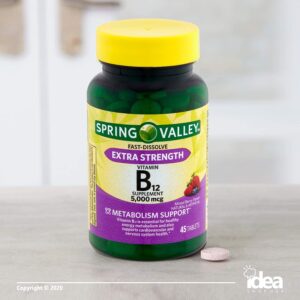 Vitamin B12 Fast Dissolve Tablets by Spring Valley, 5000 mcg, 45 Ct (3 Pack) Bundle with Exclusive Vitamins & Minerals - A to Z - Better Idea Guide (4 Items)