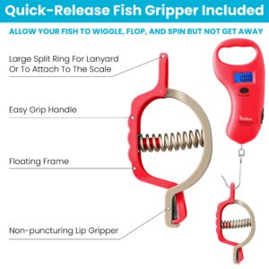 iBobber Waterproof and Floating Digital Fish Scale IP68 Rating, Weights up to 99 LB or 45 KG, Incredibly Simple to Use, Comes with Quick-Release Fish Gripper