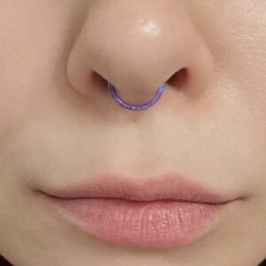 Uzgtvy Septum Ring Jewelry 16G Stainless Sugical Steel Septum Hinged Segment Seamless Clicker Nose Nostril Ring Belly Button Hoop Daith Rook Cartilage Helix Tragus Earring Piercing Jewerly Women Men