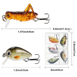 10 Pieces Mini Fishing Lures Fishing Hard Baits Hooks Crankbaits Fishing Lures Baits Topwater Lures for Freshwater Saltwater Trout Bass Perch Fishing Lures with Box (Locust and Fish Series)