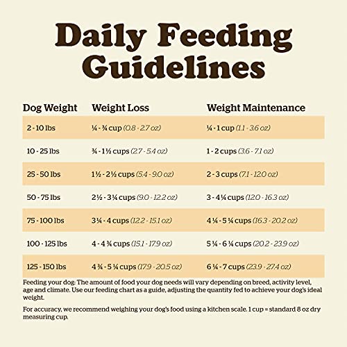 Now Fresh Dry Dog Food, Turkey, Salmon and Duck Recipe, 22 lbs - Grain Free Dog Food, Made with Real Meat and Fish for Small, Medium, and Large Breed Adults