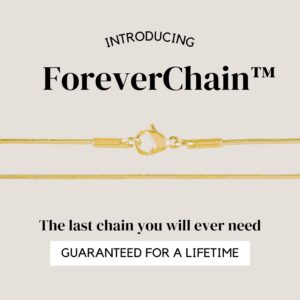 KISPER 24k Gold Snake Chain Necklace – Thin, Dainty, Gold Plated Stainless Steel Jewelry for Women & Men with Lobster Clasp, 20”