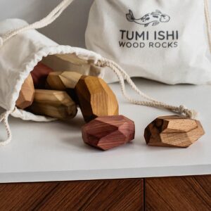 Tumi Ishi 11 Piece Natural Wooden Balancing Block Set - Sensory Educational Natural Wood Toy Stacking Game - Mixed Wood Species - USA Made - Jojoba Oil and Beeswax Finish - Wood Stone Building Blocks