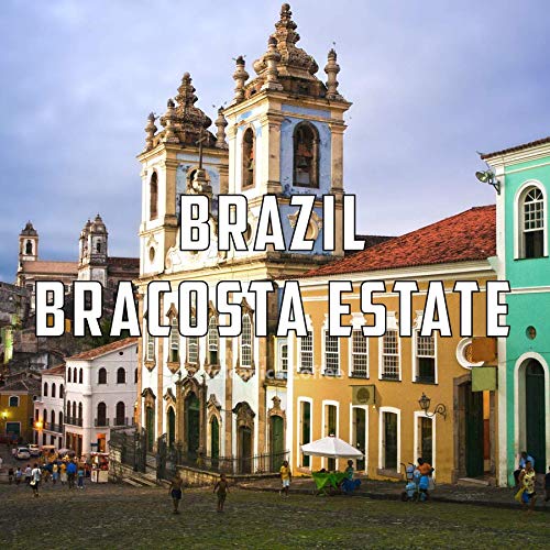 Brazil Coffee, Bracosta Estate, Whole Bean, Fresh Roasted, 16-ounce