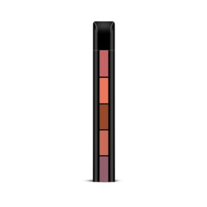 RENEE Fab 5 Nude 5-in-1 Lipstick, 7.5gm