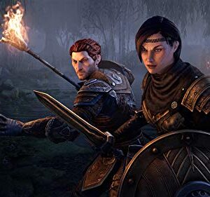 The Elder Scrolls Online Collection: Blackwood (PS4)