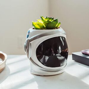 Silver Buffalo NASA Astronaut Decorative Artificial Faux Greenery Plant in Ceramic