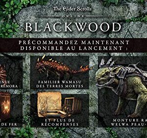 The Elder Scrolls Online Collection: Blackwood (PS4)