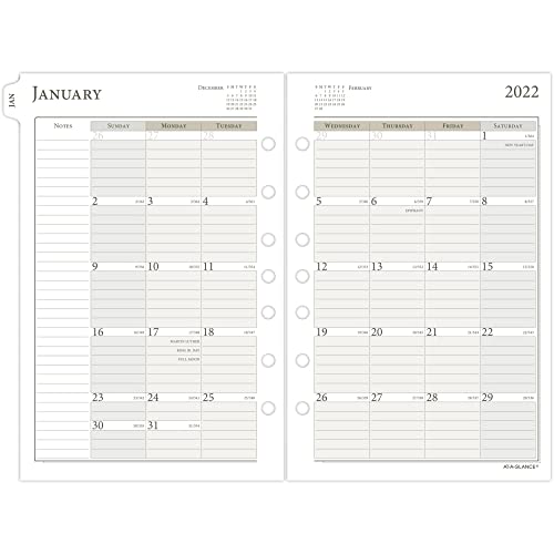 AT-A-GLANCE 2022 Daily Planner Refill by AT-A-GLANCE, 12010 Day-Timer, 5-1/2" x 8-1/2", Size 4, Desk Size, One Page per Day, Loose-Leaf (481-125)