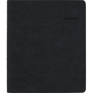 2022 Daily Appointment Book & Planner by AT-A-GLANCE, 6-1/2" x 8-3/4", Medium, The Action Planner, Black (70EP0305)