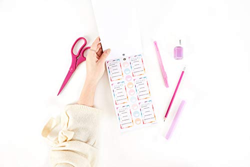 The Happy Planner Sticker Value Pack - Planner Accessories - Save Now Spend Later Theme - Multi-Color - Great for Budgeting & Organizing - 30 Sheets, 1170 Stickers