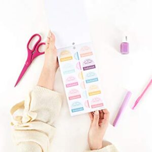 The Happy Planner Sticker Value Pack - Planner Accessories - Save Now Spend Later Theme - Multi-Color - Great for Budgeting & Organizing - 30 Sheets, 1170 Stickers