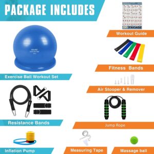 Yoga Ball, Exercise Ball Fitness Balls Stability Ball Anti-Slip & Anti- Burst for Yoga,Pilates, Birthing, Balance & Fitness with Workout Guide