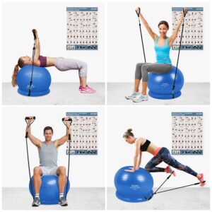 Yoga Ball, Exercise Ball Fitness Balls Stability Ball Anti-Slip & Anti- Burst for Yoga,Pilates, Birthing, Balance & Fitness with Workout Guide