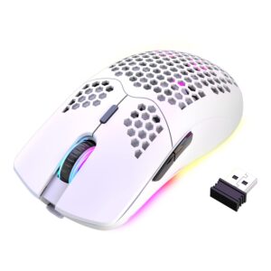 XINMENG Wireless Gaming Mouse Lightweight Honeycomb Design 3200 DPI Rechargeable Gaming Mouse with 16 Rainbow Backlit, USB Receiver,Compatible with PC Gamers and Xbox and PS4 Users