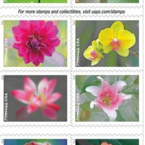 USPS Garden Beauty Forever Postage Stamps Book of 20 self-stick First Class Wedding Celebration Anniversary Flower Party (20 Stamps)