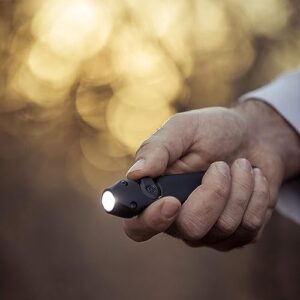 Streamlight 88810 Wedge 300-Lumen Slim Everyday Carry Flashlight, Includes USB-C Cord, Lanyard, Black